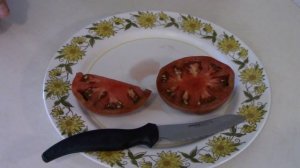 Boronia Dwarf Tomato Taste Test and Review - My New Favorite Tomato!