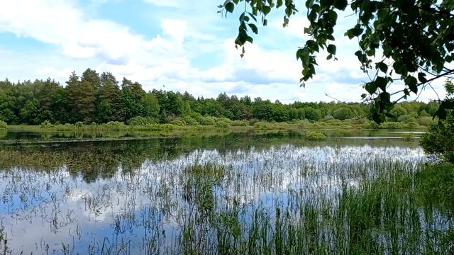 Летний день на природе, река Ялма, Дмитровский погост смотреть онлайн