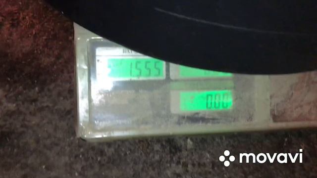 Отлучка поросят//Вес поросят в 29 дней смотреть онлайн