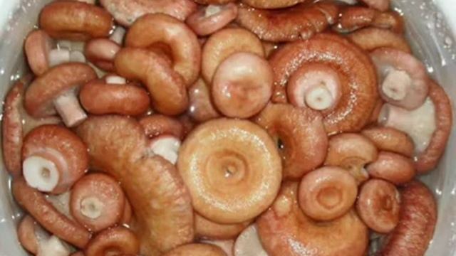 СОЛЕНЫЕ ВОЛНУШКИ РЕЦЕПТ ПРИГОТУВАННЯ В ОПИСАХ смотреть онлайн