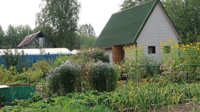 Поездка к родным // Сургут смотреть онлайн
