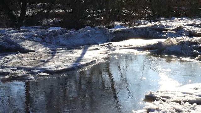 Звук реки и трель дятла в лесу. Река Выпрейка ранней весной в Тульской области. смотреть онлайн
