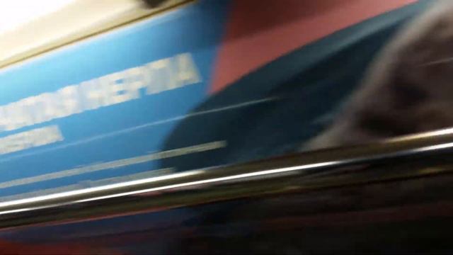 Поезд 81-740.4 русич 