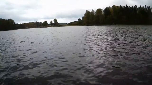 Карелия! смотреть онлайн