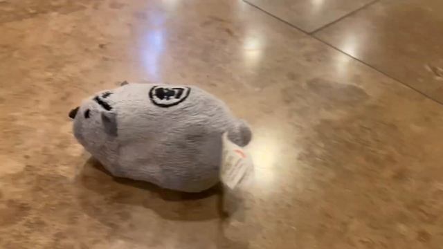 Zhu Zhu Pets - Kung Zhu - Thorn смотреть онлайн