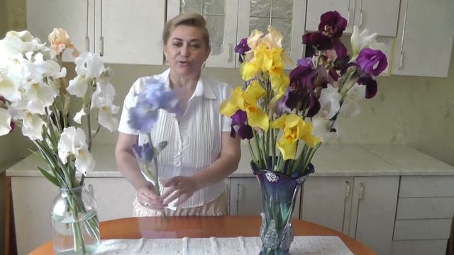 Букеты из ирисов смотреть онлайн