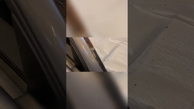 How To Remove A Windshield-Volvo S40-2022- With Bulebanker Team In Sydhavn