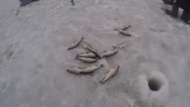 Приглашение на рыбалку от РК "ТРИ ПЕСКАРЯ" смотреть онлайн