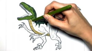 Рисуем и раскрашиваем Велоцираптора из Мира Юрского периода - Раскраска динозавров для детей!