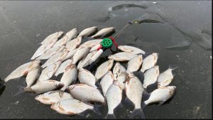 ОПАСНЫЙ ЛЁД! ГУСТЕРА КЛЮЕТ! Первая рыбалка в 2023 году.