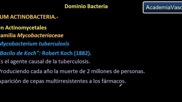 Dominio Bacteria: Phylum Actinobacteria 5 - Familia Mycobacteriaceae смотреть онлайн