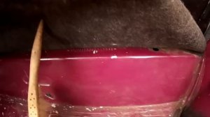 ГДЕ ВИН НОМЕР НА ОКЕ 2004 ГОДА  И НОМЕР ДВИГАТЕЛЯ