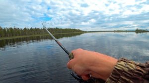 Рыбалка на щуку в Карелии. Ловля на диких озерах