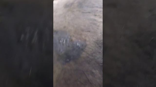 НАДО ОДНАКО ТРАКТОР ПО МОЩНЕЕ - СНЕГА ОЧЕНЬ МНОГО ЗАВЕЛ 1221 БЕЛАРУС смотреть онлайн