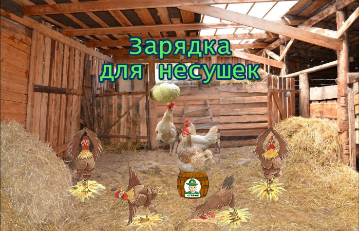 Зарядка для кур-несушек смотреть онлайн