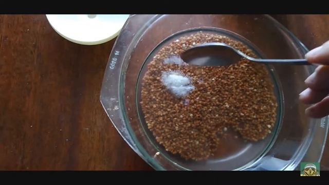 Как быстро и просто приготовить кашу (Типо DIY) смотреть онлайн