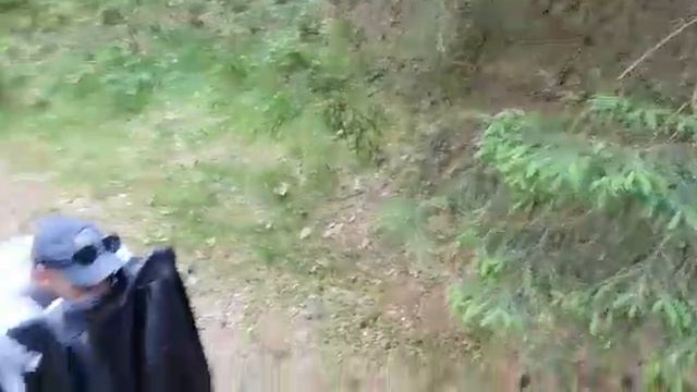 Суровый стаффордширский терьер и стремный мужик смотреть онлайн