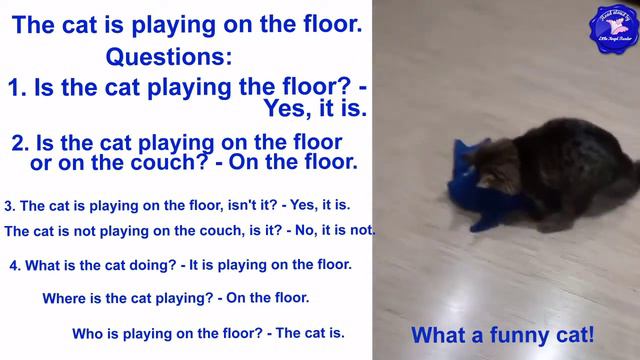 The Funny Cat Is Playing with a Shark - Present Continuous смотреть онлайн