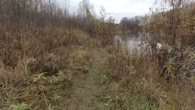 Осень в тёплых тонах смотреть онлайн