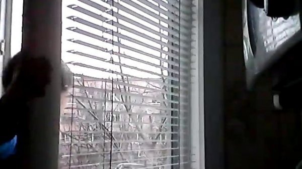 мммммыыыыыыыыы!!!!!!!!!!что крикнуть в окно?