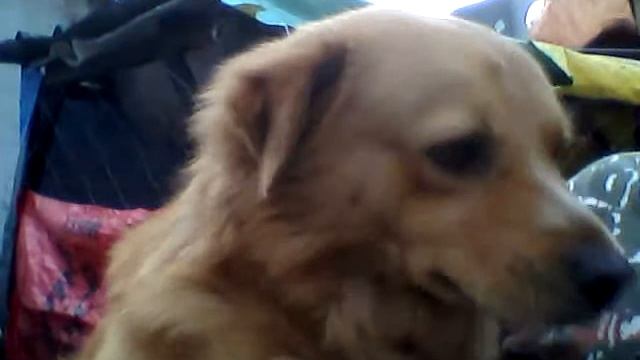 LheQuatro Review And Test : HP Mini 210 Webcam