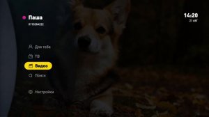 Билайн ТВ | Первое включение: настройка, вход в систему, обзор навигации