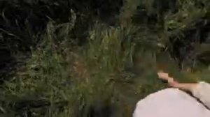 Реклама ржд  ВАМ ПОЕЗДА