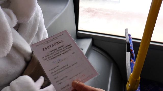 Погоня за зайцем. Необычный пассажир замечен в общественном транспорте Мозыря смотреть онлайн