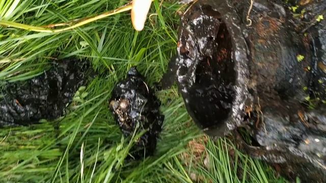 #КЛАД В БИДОНЕ! ЗОЛОТО ИЗ БОЛОТА! В ПОИСКАХ КЛАДА И ЗОЛОТА ОТ ВИКЛИНГА! смотреть онлайн