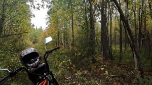 Скаут сафари 3. Начало охоты. Чистим дорогу.