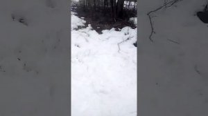 Болотоход трицикл