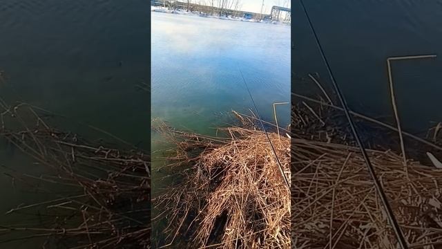 ПОПЛАВОЧНАЯ РЫБАЛКА В МАГНИТОГОРСКЕ ПО ОТКРЫТОЙ ВОДЕ смотреть онлайн