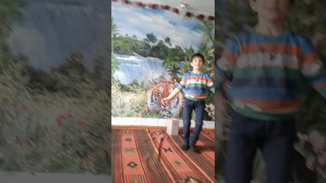 Цыганские приколы смотреть онлайн