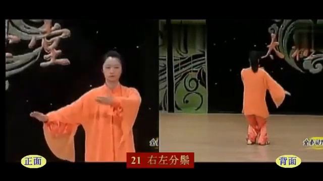 48式太極拳 正面背面合一 (邱慧芳) 48 Form Tai Chi Front and Rear View (Master Qiu Huifang) смотреть онлайн