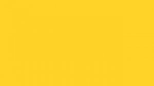 Информатор: Некрасовская линия (старое)