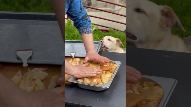 Как приготовить первоклассный шашлык из куриных крылышек? смотреть онлайн