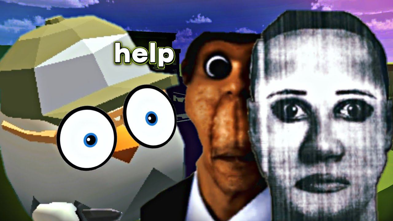 The First Time I Entered The Chicken Gun Private Server...