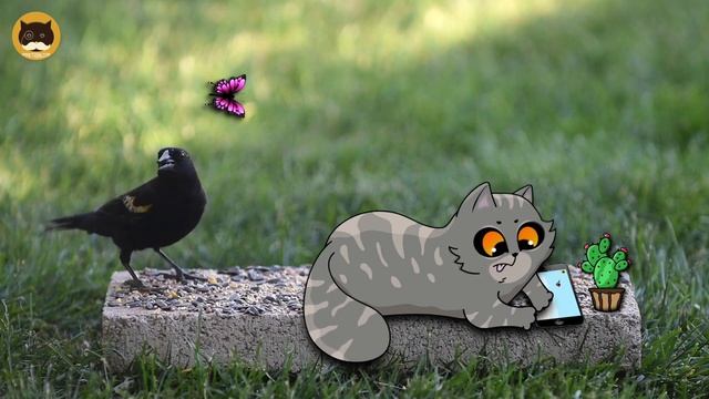 THE SECRET LIFE OF CATS - Outdoor Activities! Funny Cat Video | CAT GAMES. смотреть онлайн