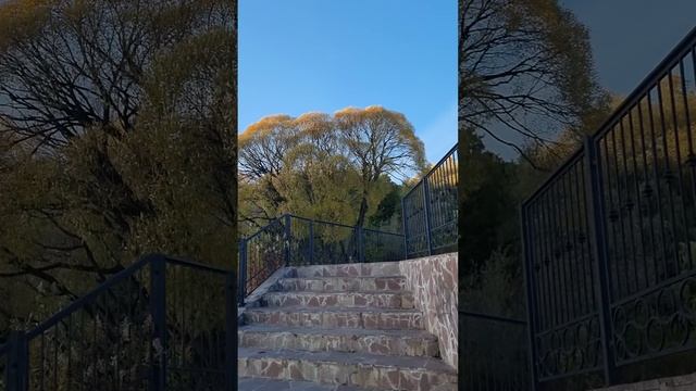 Кормим уточек на пруду. смотреть онлайн