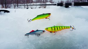 КАК судак и щука, ВИДИТ раттлины на ГЛУБИНЕ и не только. Рыбалка зимой со льда в 2022