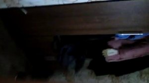 Как вызвать фею желании? Она реально пришла!?