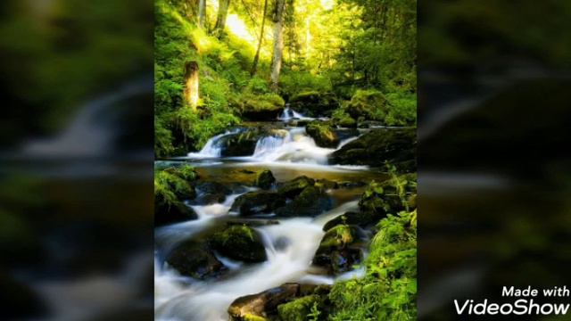 Шайх Мухаммад, аллах не нуждается нам!!! смотреть онлайн