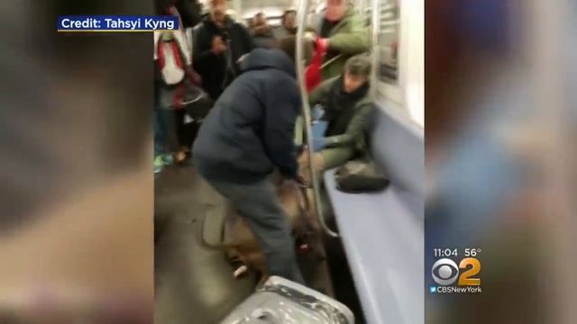 Dog Attacks Woman On Subway смотреть онлайн