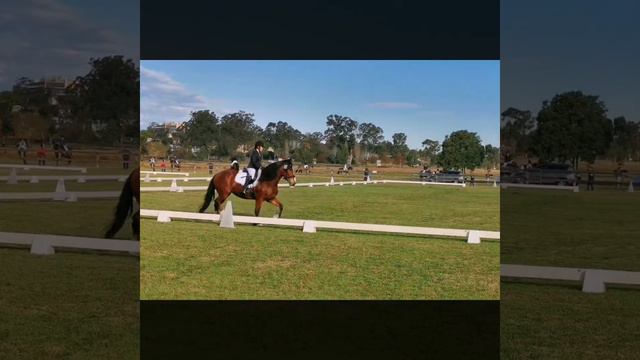 Dressage Junior Caitlin Kraay and Majestic Jessie 19/7/20 смотреть онлайн