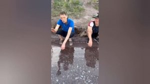 Иришка ругается,Безумный Паша,Олег Монгол,Саня Бык,Катя и Руслан Гительман, Батя и Матя