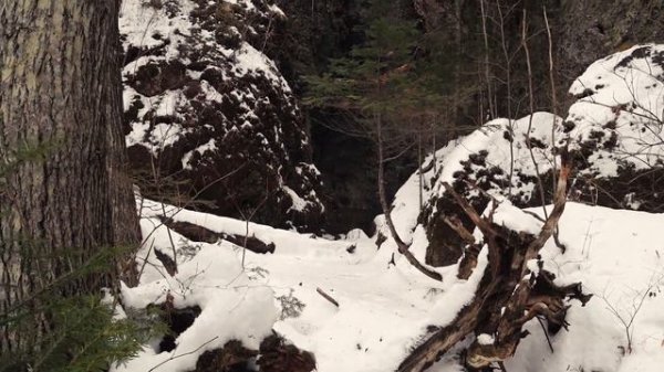 Каньон Медовый Лис