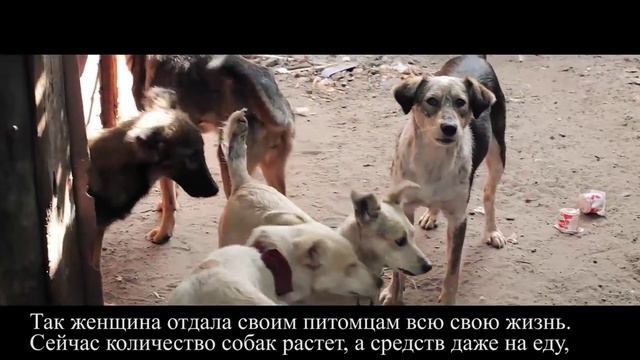 Оксана Ийалекхуэ "Спасем животный мир"г. Луганск 0508714504 смотреть онлайн