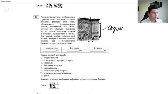 BioFamily | РАЗБОР ДОСРОКА 2020 | ЕГЭ В УСЛОВИЯХ КАРАНТИНА