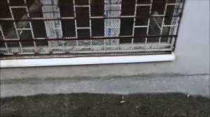 Заделка щели между отмосткой и стеной дома.