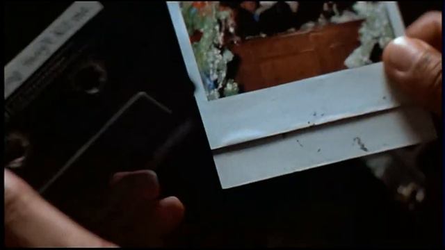 Home Alone 2 Wet Bandits Arrested